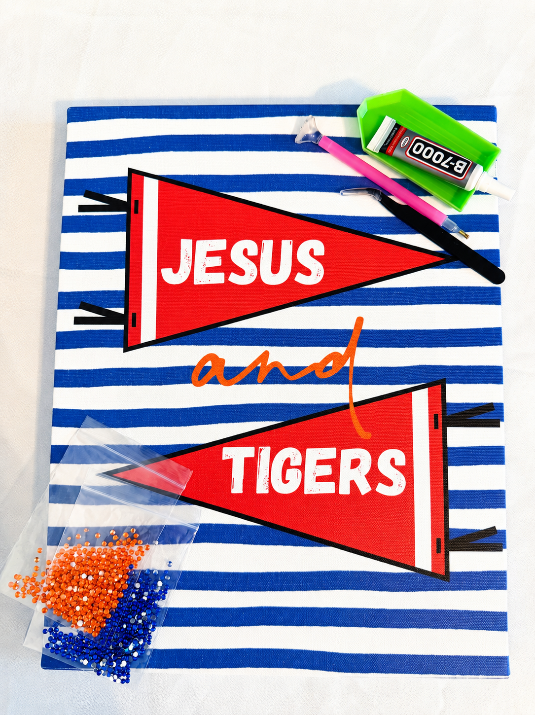 JESUS and TIGERS 11x14 Bedazzle KIT